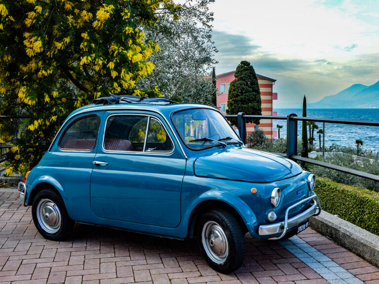 Auto di cortesia